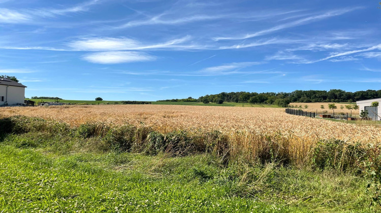 Ma-Cabane - Vente Terrain Rantzwiller, 700 m²