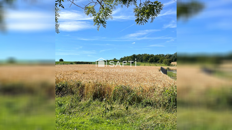 Ma-Cabane - Vente Terrain Rantzwiller, 700 m²