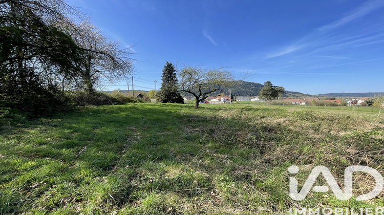 Ma-Cabane - Vente Terrain Raon-l'Étape, 4089 m²