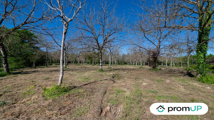 Ma-Cabane - Vente Terrain Réans, 10000 m²