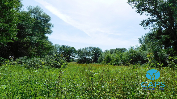 Ma-Cabane - Vente Terrain Réparsac, 5590 m²