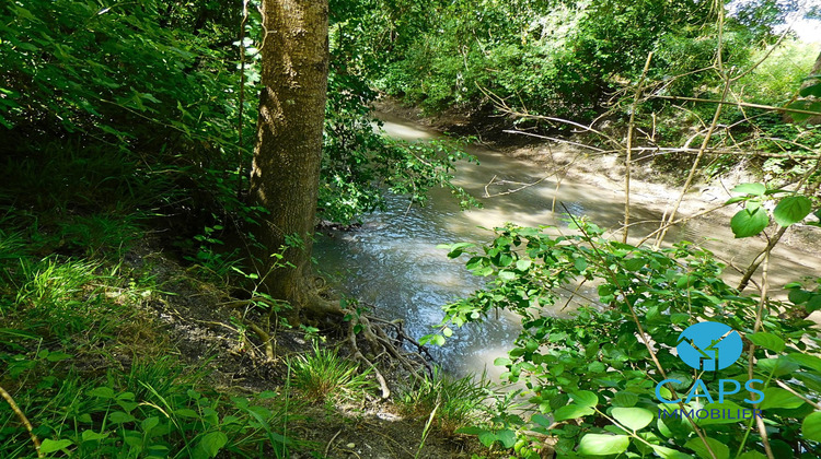 Ma-Cabane - Vente Terrain Réparsac, 5590 m²