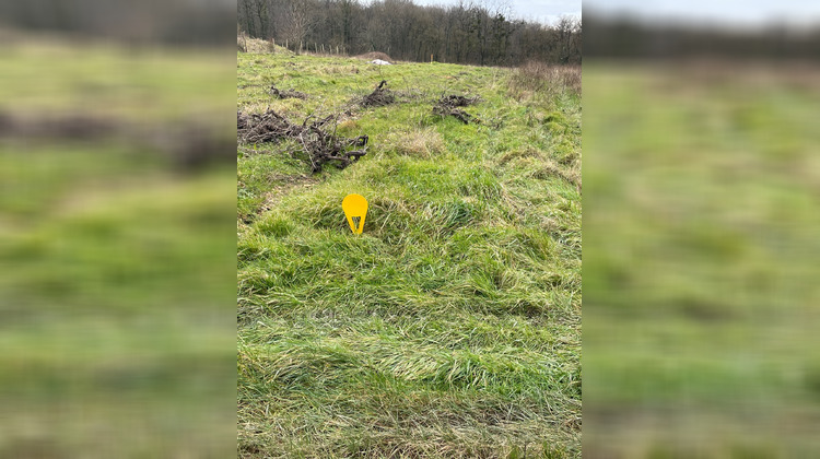 Ma-Cabane - Vente Terrain Reugny, 3250 m²