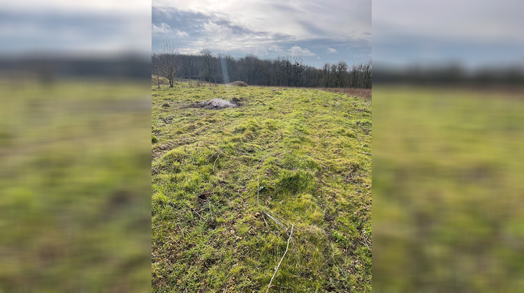 Ma-Cabane - Vente Terrain REUGNY, 3250 m²