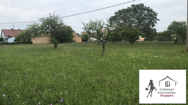 Ma-Cabane - Vente Terrain Rhinau, 800 m²