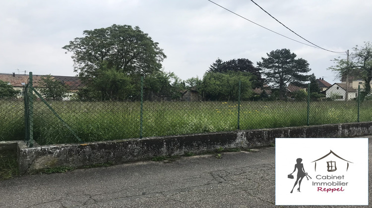 Ma-Cabane - Vente Terrain Rhinau, 800 m²