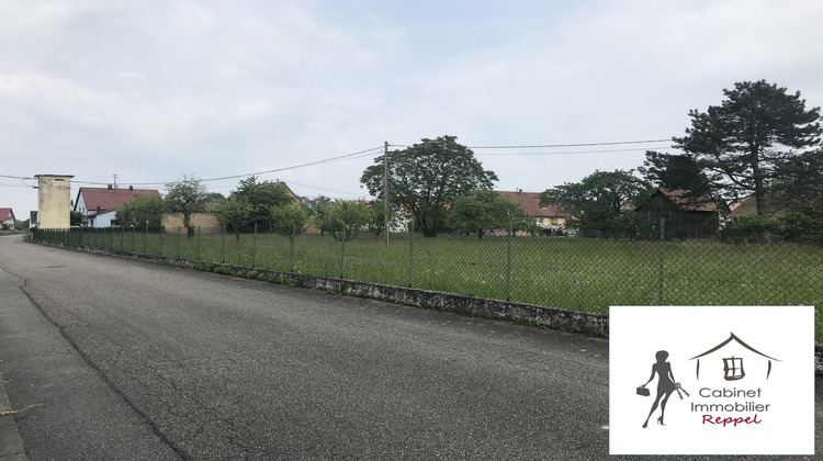 Ma-Cabane - Vente Terrain Rhinau, 800 m²