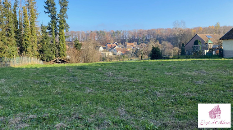 Ma-Cabane - Vente Terrain Riespach, 1246 m²