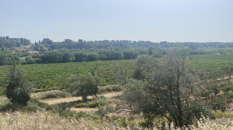 Ma-Cabane - Vente Terrain Rieux-Minervois, 2444 m²