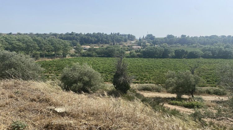 Ma-Cabane - Vente Terrain Rieux-Minervois, 2444 m²