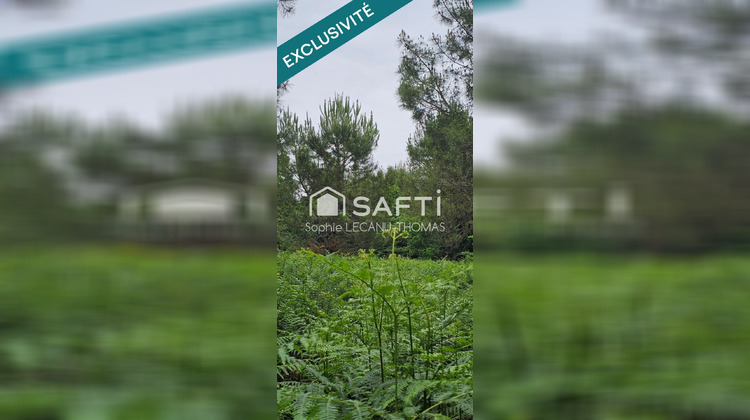 Ma-Cabane - Vente Terrain Rion-des-Landes, 5640 m²