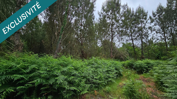 Ma-Cabane - Vente Terrain Rion-des-Landes, 5640 m²