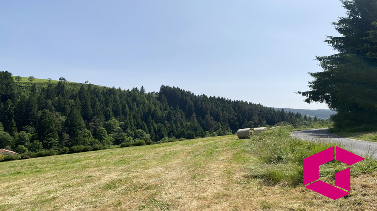 Ma-Cabane - Vente Terrain Riotord, 2619 m²