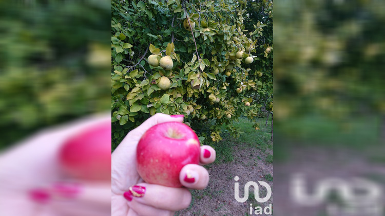 Ma-Cabane - Vente Terrain Ris-Orangis, 681 m²