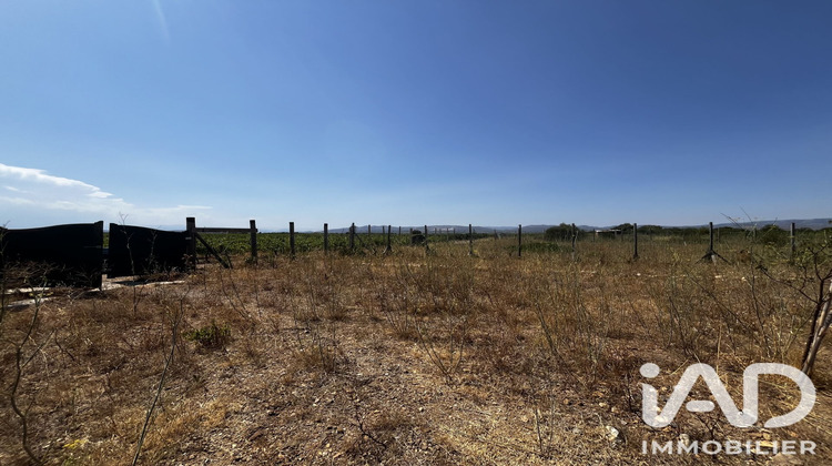 Ma-Cabane - Vente Terrain Rivesaltes, 650 m²
