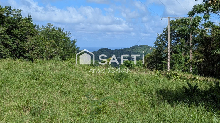 Ma-Cabane - Vente Terrain Riviere-Pilote, 2227 m²