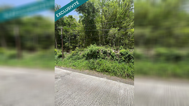 Ma-Cabane - Vente Terrain Riviere-Pilote, 6148 m²