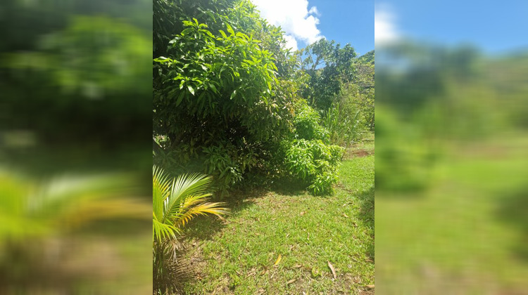 Ma-Cabane - Vente Terrain RIVIERE PILOTE, 448 m²