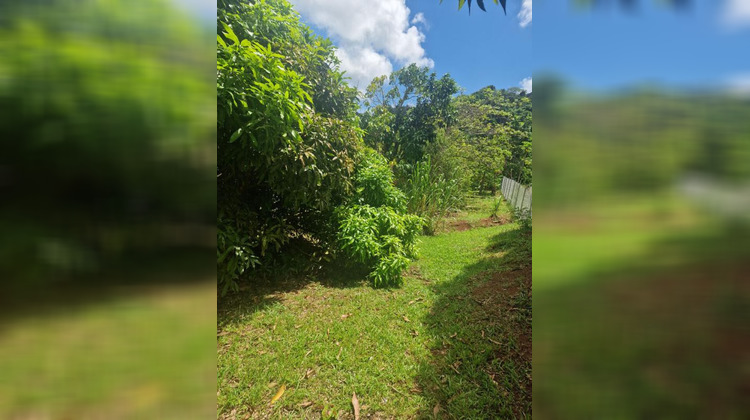 Ma-Cabane - Vente Terrain RIVIERE PILOTE, 448 m²
