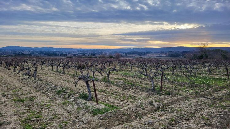 Ma-Cabane - Vente Terrain ROCHEFORT DU GARD, 3918 m²