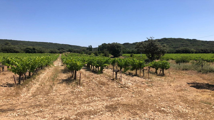 Ma-Cabane - Vente Terrain ROCHEFORT DU GARD, 43000 m²