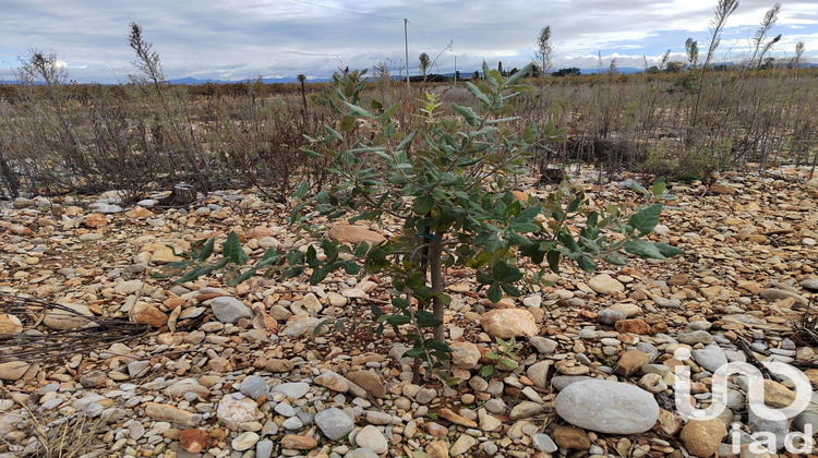 Ma-Cabane - Vente Terrain Rochegudde, 8600 m²