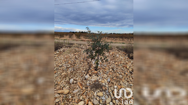 Ma-Cabane - Vente Terrain Rochegudde, 8600 m²