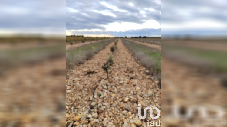 Ma-Cabane - Vente Terrain Rochegudde, 8600 m²