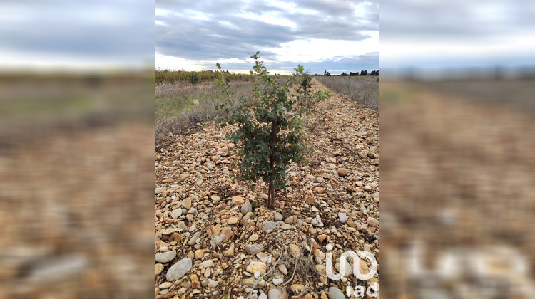 Ma-Cabane - Vente Terrain Rochegudde, 8600 m²