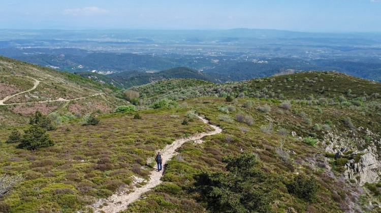 Ma-Cabane - Vente Terrain ROCHER, 1032 m²