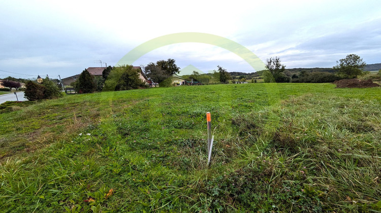 Ma-Cabane - Vente Terrain RODALBE, 2304 m²