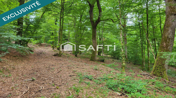 Ma-Cabane - Vente Terrain Ronchamp, 4217 m²
