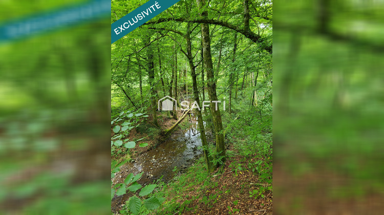 Ma-Cabane - Vente Terrain Ronchamp, 4217 m²