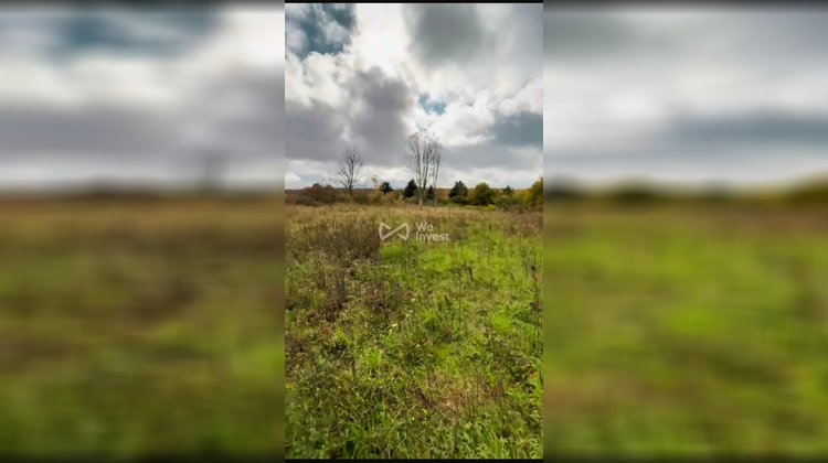 Ma-Cabane - Vente Terrain Ronchères, 4791 m²