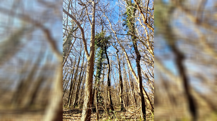 Ma-Cabane - Vente Terrain RONQUEROLLES, 1886 m²