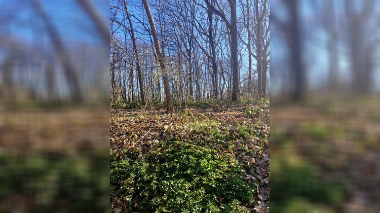 Ma-Cabane - Vente Terrain RONQUEROLLES, 1886 m²