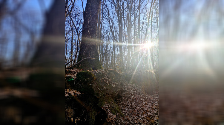 Ma-Cabane - Vente Terrain RONQUEROLLES, 1886 m²