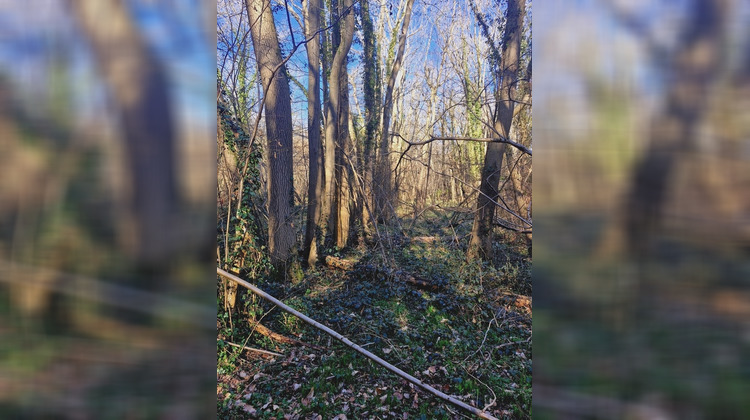Ma-Cabane - Vente Terrain RONQUEROLLES, 1886 m²