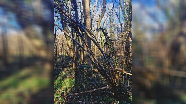 Ma-Cabane - Vente Terrain RONQUEROLLES, 1886 m²
