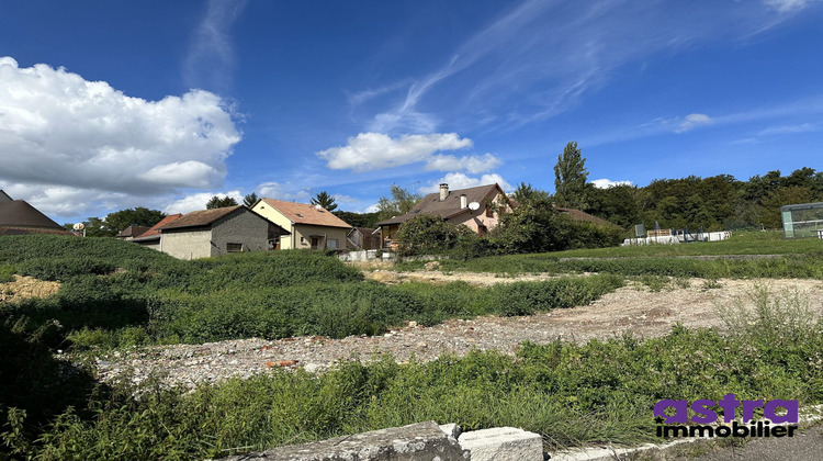 Ma-Cabane - Vente Terrain Roppentzwiller, 1186 m²