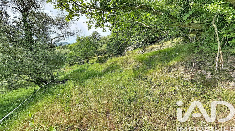 Ma-Cabane - Vente Terrain Roquebillière, 5430 m²