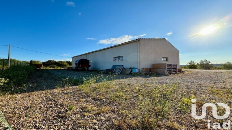 Ma-Cabane - Vente Terrain Roquefort-des-Corbières, 4810 m²