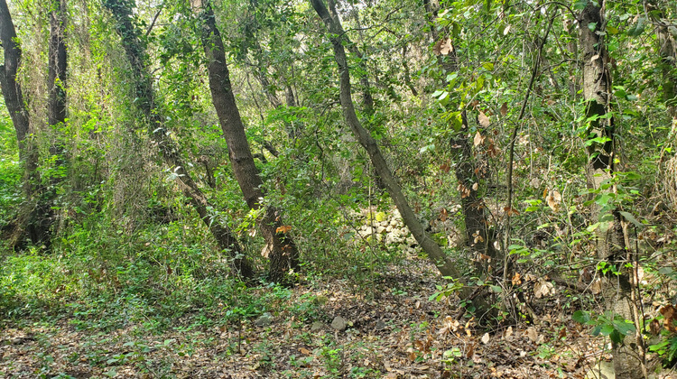 Ma-Cabane - Vente Terrain Roquefort-les-Pins, 4390 m²