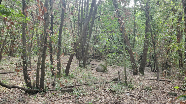 Ma-Cabane - Vente Terrain Roquefort-les-Pins, 4390 m²