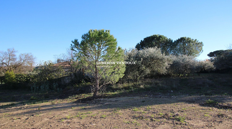 Ma-Cabane - Vente Terrain ROQUEMAURE, 549 m²