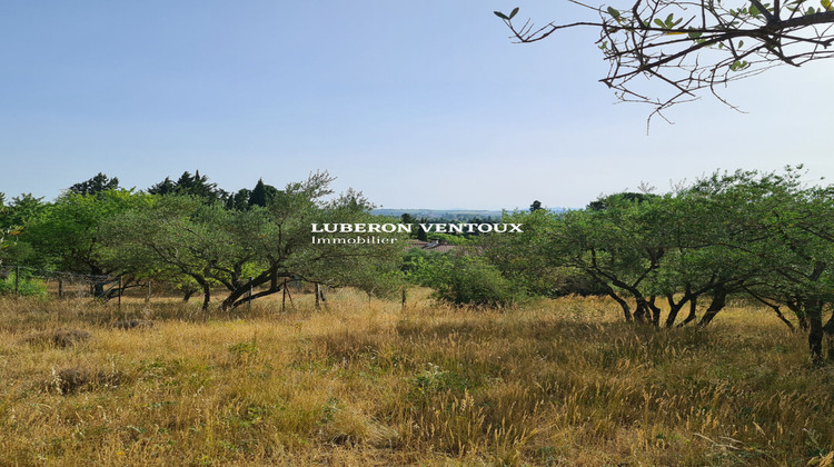 Ma-Cabane - Vente Terrain ROQUEMAURE, 549 m²
