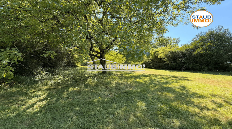 Ma-Cabane - Vente Terrain Rosenau, 3983 m²