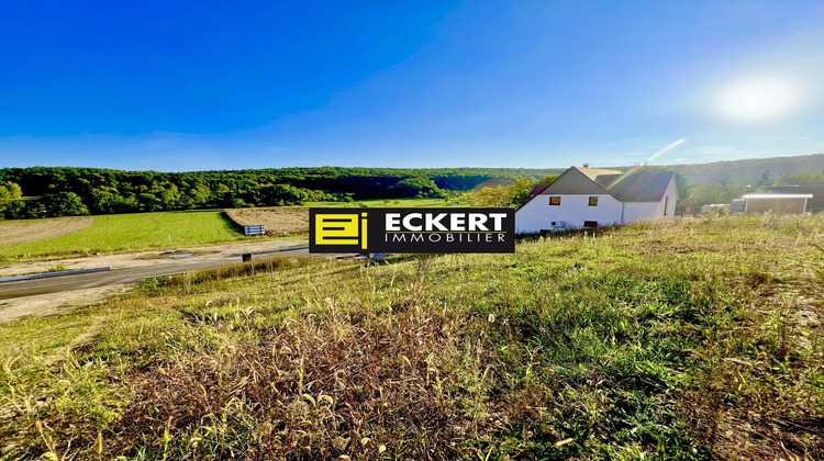 Ma-Cabane - Vente Terrain Rosenwiller, 600 m²