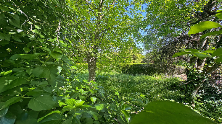 Ma-Cabane - Vente Terrain ROSNY-SOUS-BOIS, 330 m²