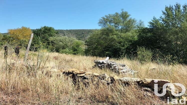 Ma-Cabane - Vente Terrain Rouffiac des Corbières, 3991 m²